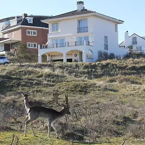  Apartment Dune Niederlande